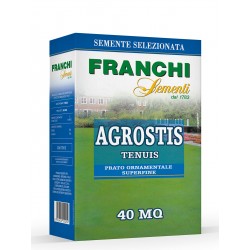 AGROSTIS TENUIS 250 G