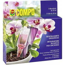 FIALETTA GOCCIA ORCHIDEE 5PZ