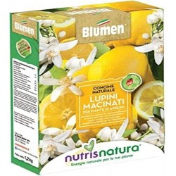 NUTRISN. LUPINI MAC. 1 KG