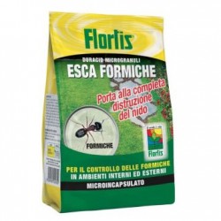 ESCA FORMICHE GRAN.BUSTA 1 KG