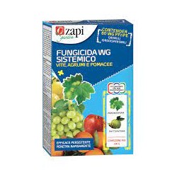 FUNGICIDA SISTEMICO PFNPE 200G