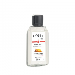 RICARICA 200ML TERRE D'EPICES