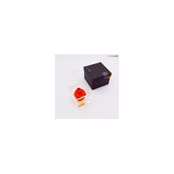 FLOWERCUBE ROSA 8X8 ARANCIO