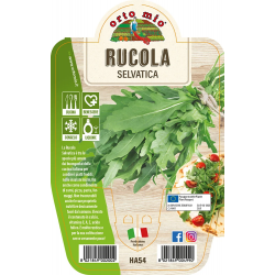 RUCOLA SELVATICA V.14