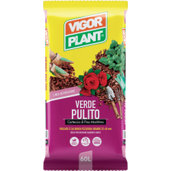 VIGORPLANT VERDE PULITO 20 L