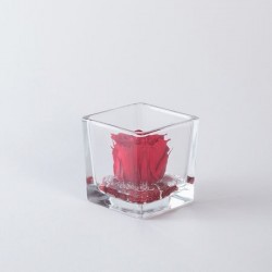 CUBO FONDO PIETRA 6X6 ROSSO