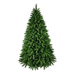 ALBERO ROCKY H180 D125CM