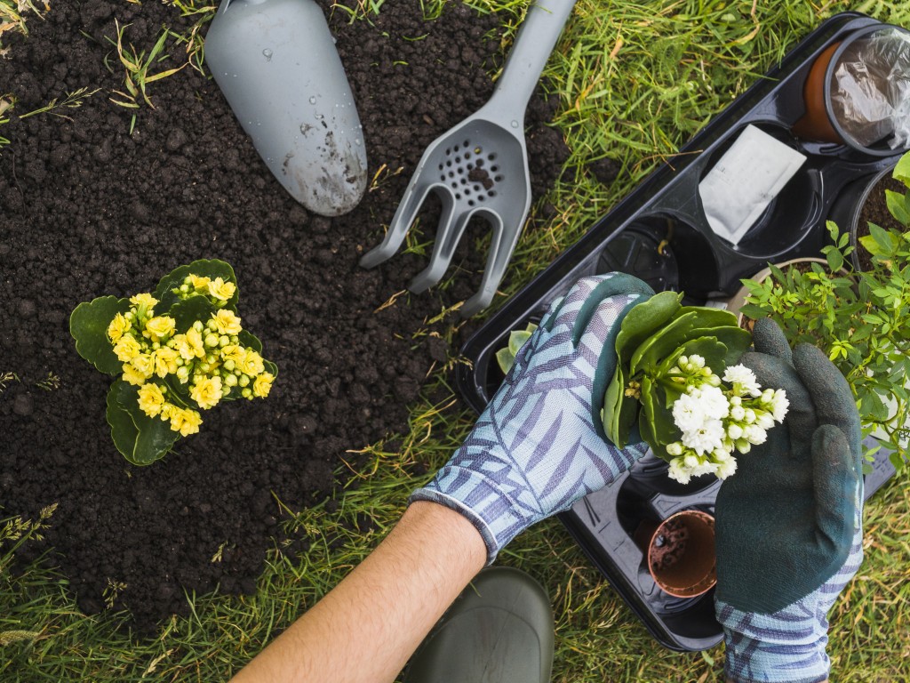 Fare giardinaggio? È meglio della palestra!