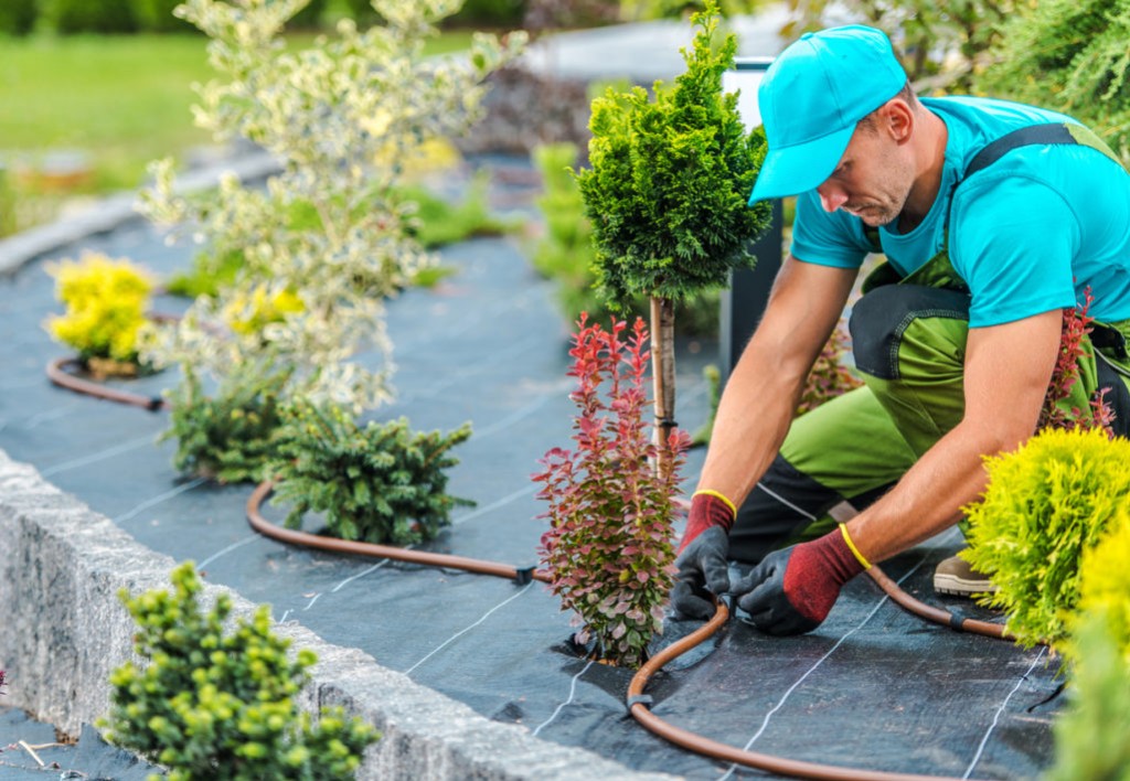 Irrigazione in terrazzo: rientra nel Bonus Verde se…