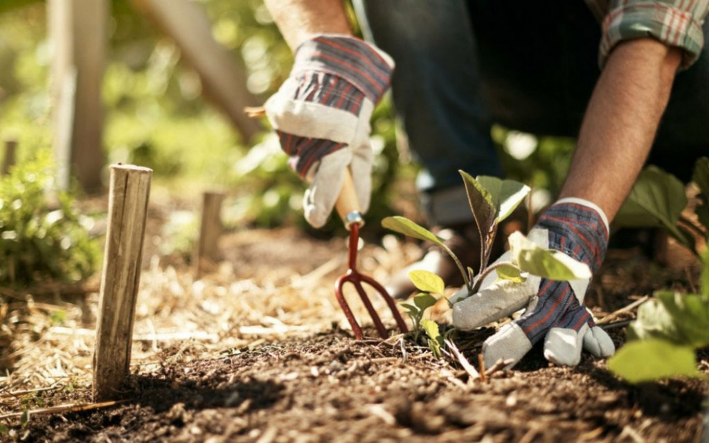 Giardinaggio in sicurezza