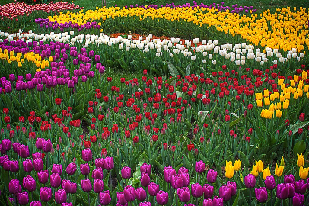 La primavera? Si prepara adesso.